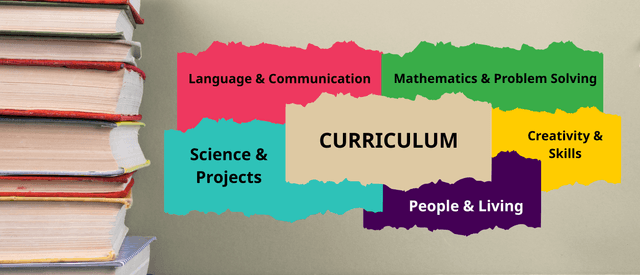 Curriculum Research