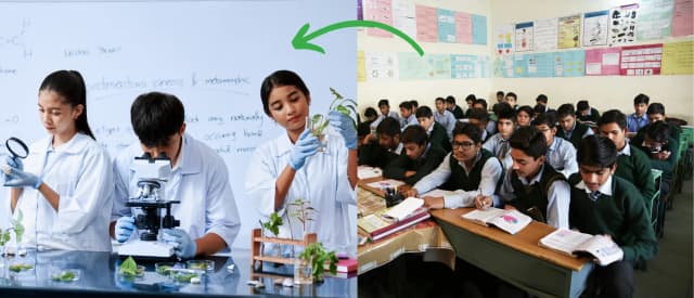 Pedagogical Redesign